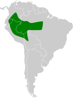 Distribución geográfica del ticotico picogancho.