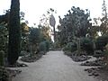Arizona Cactus Garden 001