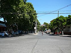 Avenida Santelices desde Calle Gálvez con Lillo hacia el poniente, Isla de Maipo, Santiago, Chile. - panoramio.jpg