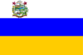 Bandera Municipio Bolivariano Angostura (Bolívar)