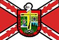 Bandera del Estado Federal Loreto