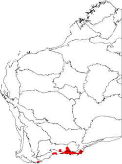 Distribución de B. speciosa (Banksia vistosa), mostrada en un mapa de las regiones biogeográficas de Australia Occidental.