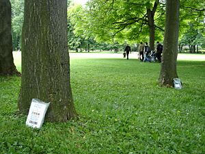 Archivo:BookcrossingLyon