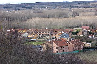 Carbajal IMG 3249 1024x.jpg