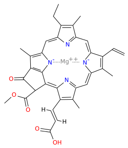 Chlorophyll c1