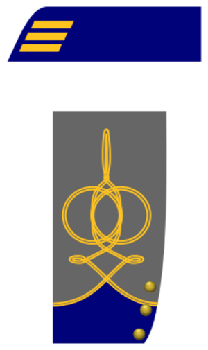 Archivo:Confederate States of America Captain-Marines