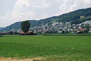 Archivo:Egolzwil 035