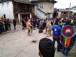 Entroido de Salcedo 2019 Oso 2.jpg