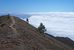 Archivo:GR-131 Ruta de los Volcanes La Palma 20080606b