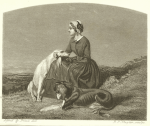 Archivo:Gravure-1853-djsluyter