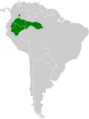 Gymnopithys leucaspis map