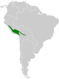 Distribución geográfica de la diuca aliblanca.