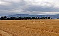 Imbler, Oregon, fields