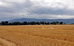 Imbler, Oregon, fields.jpg