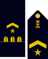 Infmaridivi12