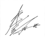 Kim Bum signature.png