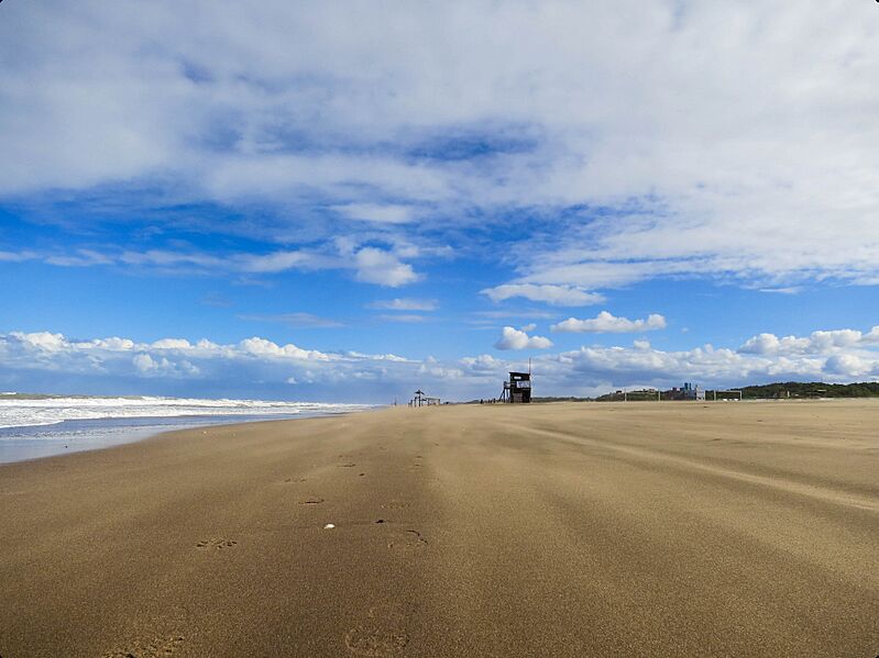 Las Gaviotas II