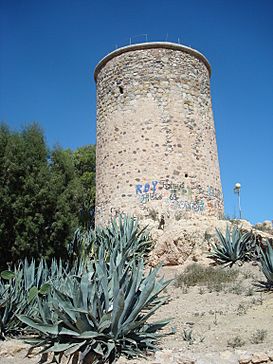 Mazarron Costa - 006 (30437637950).jpg