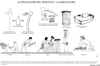 Neolitico-agricultura.svg