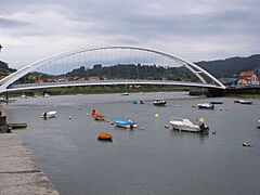 Plencia - Puente-pasarela 01