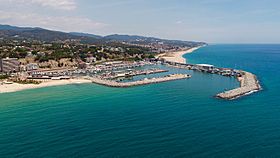 Port d'Arenys de Mar.jpg