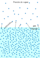 Presion de vapor