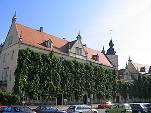 Archivo:Riesa Rathaus