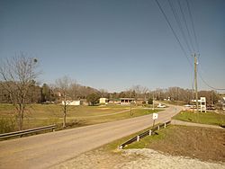 Road in Riverside, Alabama.jpg