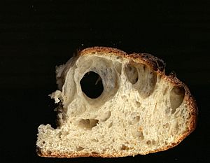 Archivo:Sourdoughbreadcrumb