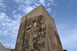 Archivo:Torre, els Poblets