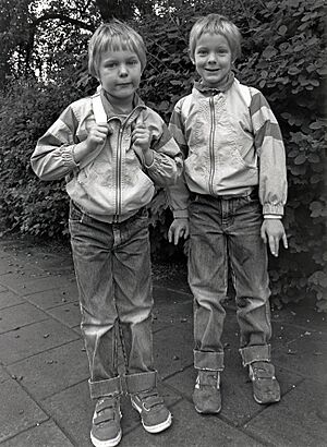 Archivo:Tvåäggstvillingar-R&R-1987