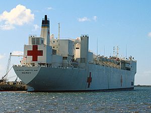 Archivo:USNS Mercy T-AH-19
