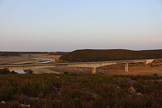 Viaducto de San Pedro de las Cuevas del AVE Zamora-Galicia sobre el Esla.jpg