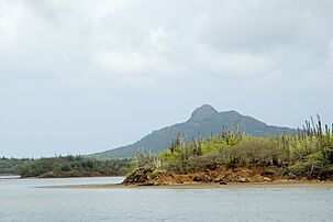 Archivo:View over Gotomeer to Washington Slagbaai (4676437457)