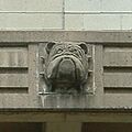 YaleBowl-Bulldog1