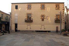298 Biblioteca de Can Pedrals, pl. Maluquer i Salvador (Granollers).jpg