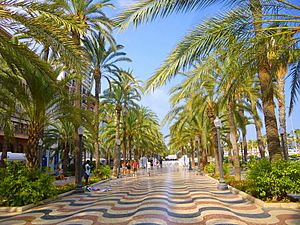 Archivo:Alicante - Paseo de la Explanada de España 17