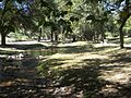 Arroyo Salsipuedes