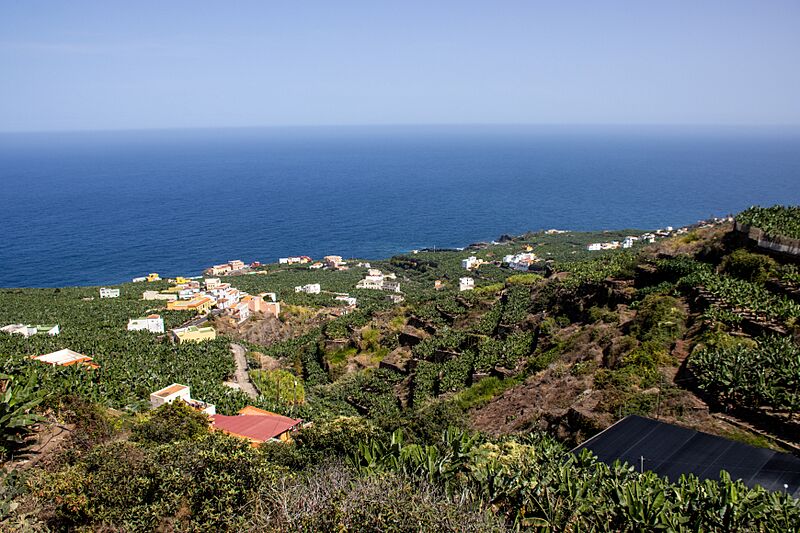At La Palma 2020 164