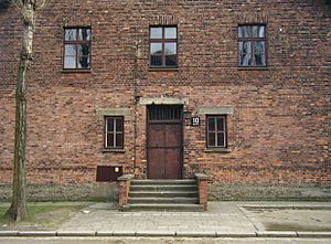 Archivo:Auschwitz Mengele Block 10