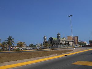 Archivo:Avenida de puerto la cruz.