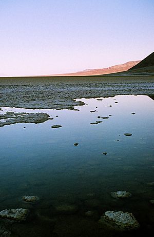 Archivo:Badwater