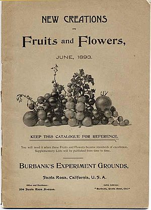 Archivo:Burbank FruitFlower c1893