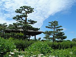 Archivo:CBG Japanese Garden 1
