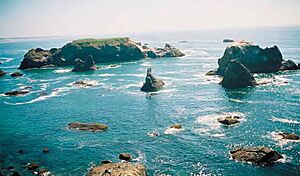 Archivo:California coastal nm
