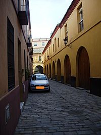 Archivo:Calle Interior Casa de la Moneda