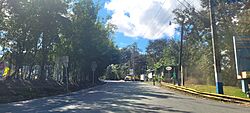 Carretera PR-833, Guaynabo, Puerto Rico (3).jpg