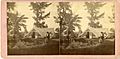 Central City Park, hothouse, circa 1877 - DPLA - 64ba00c11210fef2d3cbc4f4039859cb