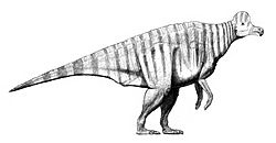 Corythosaurus restoration.jpg