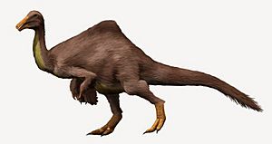 Archivo:Deinocheirus NT